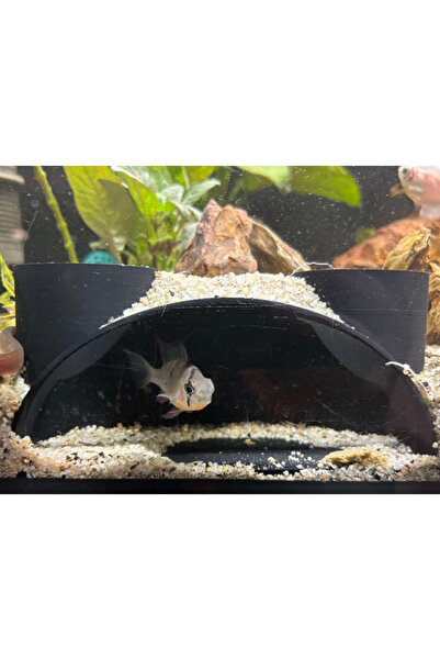 fly3d Akvaryum Balık Gözlem Mağarası