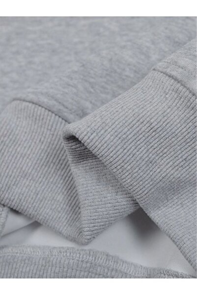 Mad&Calf Unisex Berry Infusion Printed Oversized Fleece Sweatshirt with Hood