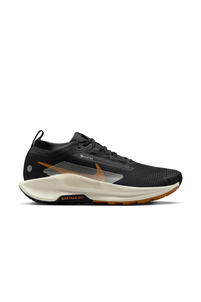 Nike Pegasus Trail 5 Gore-tex Erkek Siyah Koşu FQ0908-007