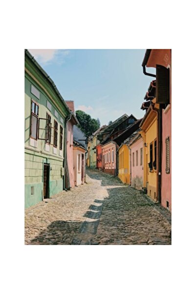 OEM Tablou Canvas - Peisaj Arhitectura Medievala Strada Case Colorate Sighiso...