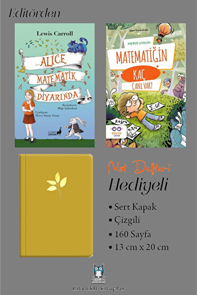 Cezve Çocuk Alice Matematik Diyarında - Matematiğin Kaç Canı Var? / Merve Uygun
