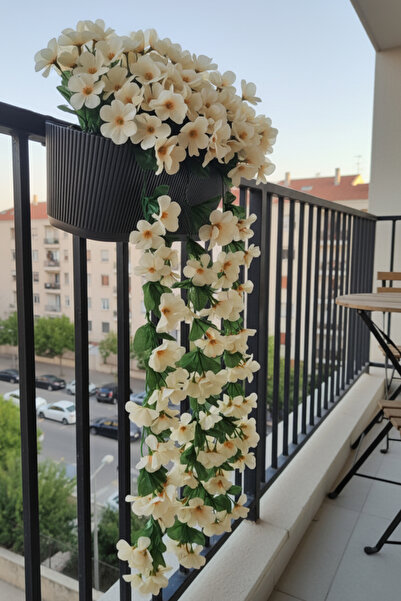LUZAB Plastik Balkon Saksıda Taş Yosunlu Begonvil Çiçek Menekşe Sarmaşık Çiçeği Sarkan Cafe krem