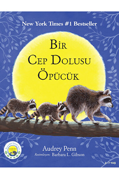 Butik Yayıncılık Minik Rakun Ve Bir Cep Dolusu Öpücük.