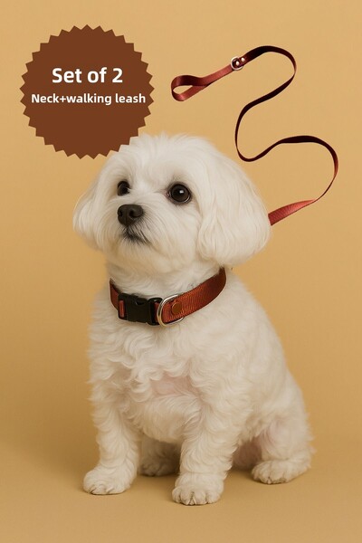 MOOD PAW Caramel Mood Adjustable Dog Collar and Leash Set