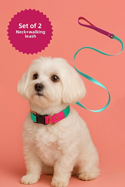 MOOD PAW Sugar Mood Adjustable Dog Neck and Travel Collar Set