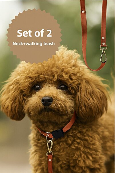 MOOD PAW Caramel Mood Adjustable Dog Collar and Leash Set