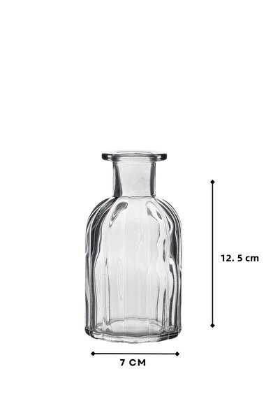 HOMİNG Glass Transparent Mini Vase Flower Holder 242234