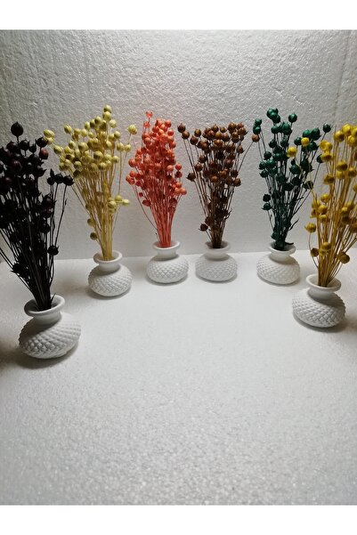 TAKATUKA HEDİYELİK TTH Dekoratif 6lı Set Mini Tombik Saksılı Kuru Çiçek Luna