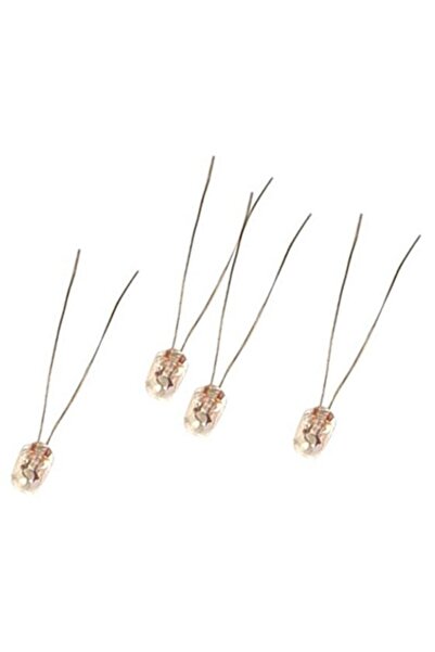 Powermaster 12V OTO TEYP AMPÜLÜ