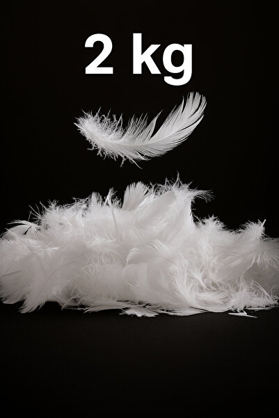 Hill 2 kg. Umplutură 100% puf de gâscă Metaryeli 100% natural