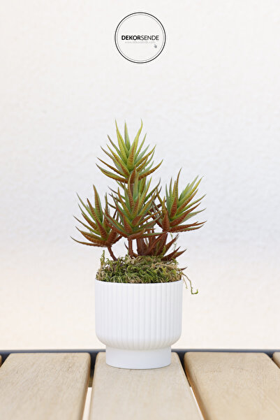 Dekorsende Artificial Coniferous Succulent Bunch Red Light Green 34 cm