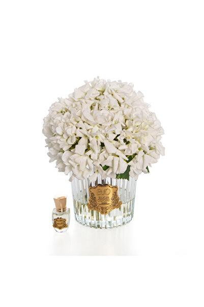 BUON ODORE BEYAZ ORTANCA GOLD ODA KOKUSU