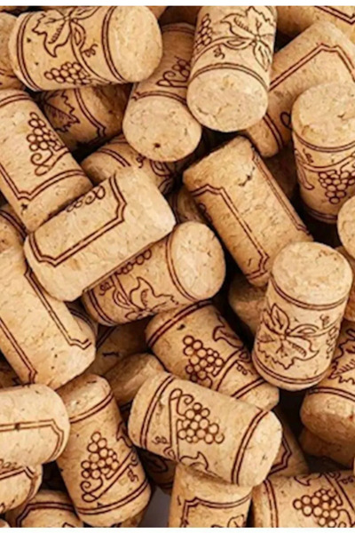 Dünya Magnet Bottle Cork 10 Pieces Natural Wine Bottle Stopper Cork Stopper 22.5X38 mm