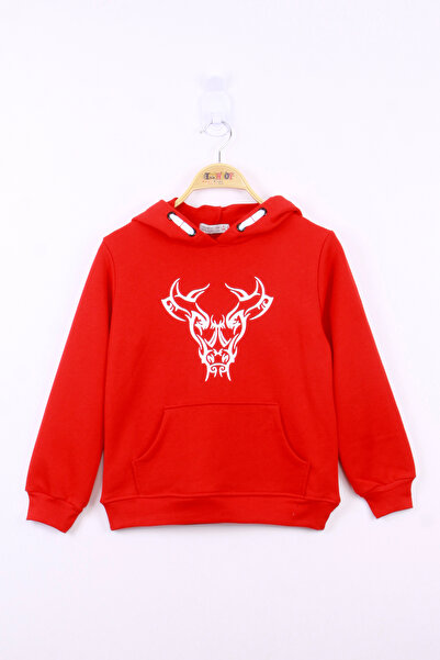 Toontoy Boy - Bull Printed Sweatshirt
