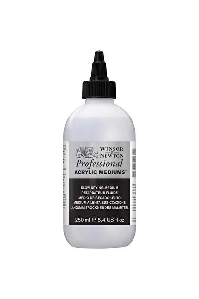 Winsor Newton Winsor & Newton Professional Acrylic Gloss Medium (parlak Medyu...