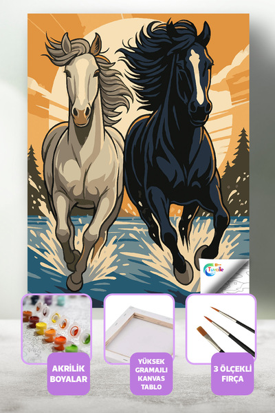 Tuvalle Özgürlüğe Yolculuk Sayılarla Boyama Seti, Hobi Seti, 40X50 Tablo, Fır...