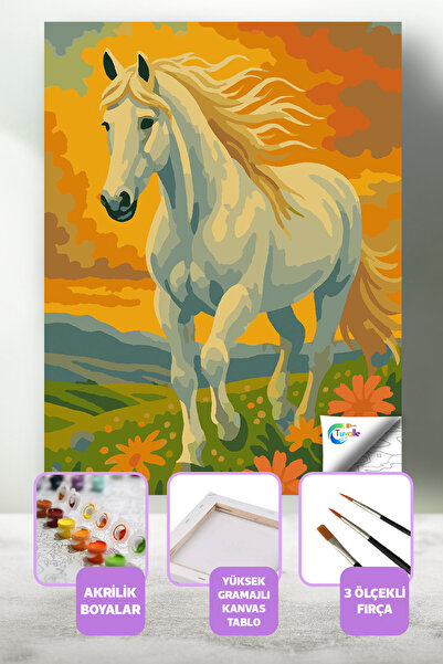 Tuvalle Beyaz Atın Gücü Boyama Seti, Hobi Seti, 40X50 Tablo, Fırça Boya, Numa...