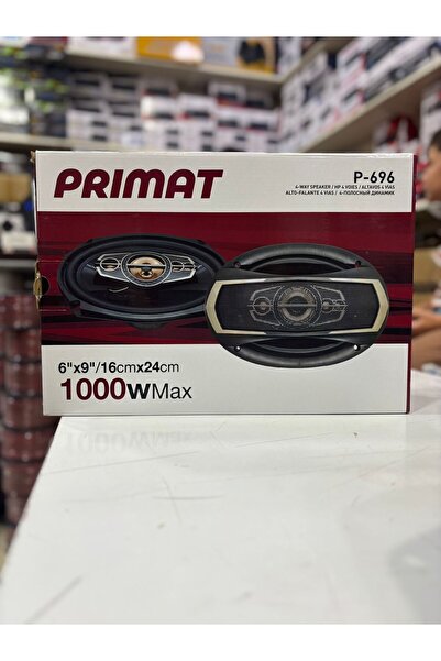 Painner P-696 1000 Watt Oto Hoparlör Oval 6x9 Araba Hoparlör 2 Adet Oto Oval Hoparlör Telli Kapak