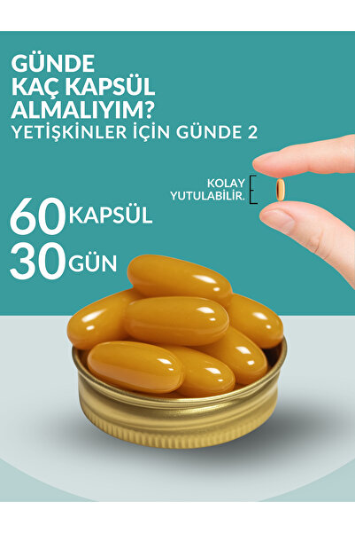 STORM VİTALS Storm Vitals Omega Focus Sitikolin-omega- B12 Complex-güçlü Zihin Formülü- 60 Softjel