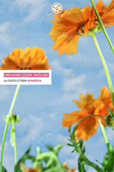 Yves Rocher Parlaklık Veren Katı Şampuan - Cansız Saçlar / Brillance - SLS,SLES içermez,Tuzsuz, Vegan -60gr