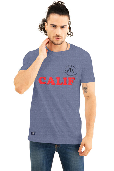 COLOR HUNT 100% Cotton Mens Crew Neck T- Shirt with Treding Prints