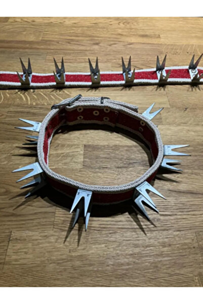 tpz Büyük Irk Yetişkin U Köpek Tasmasi Dokuma Tasma