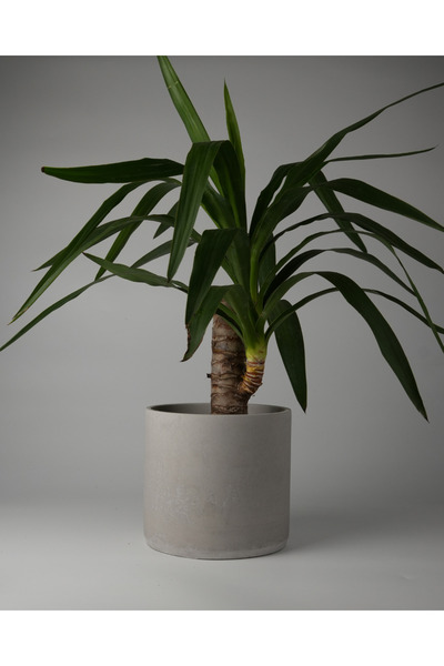 Kaju Creative Dekoratif Büyük Boy Beton Saksı - Silindir 4.5L  - 20x18 CM