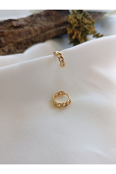 Luna Jewelry Kadın 316 L Çelik Minimal Gold Zincir Geçişli Halka Model Küpe