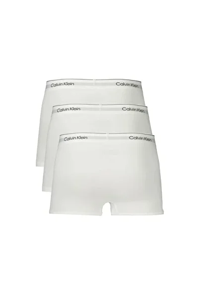 Calvin Klein Men's Brand Logo Elastic Band Suitable for Daily Use White Boxer Lv00Nb4389 100