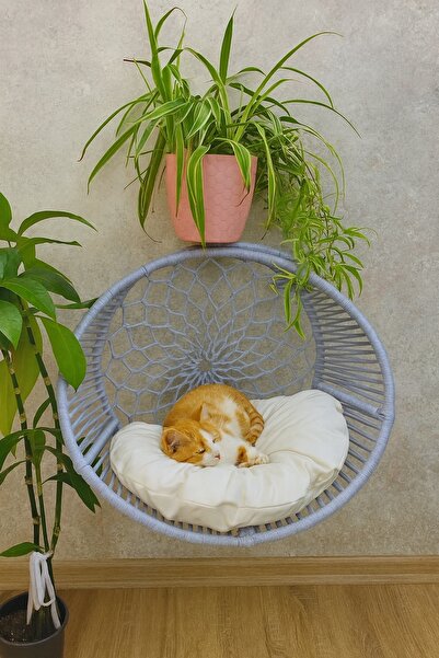 Teknor Hilal Kedi Köpek Kalorifer Askılı Yatak