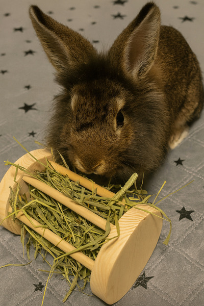 Genel Markalar Tavşanlar ve Gine Domuzları için Orta Boy Saman Silindiri