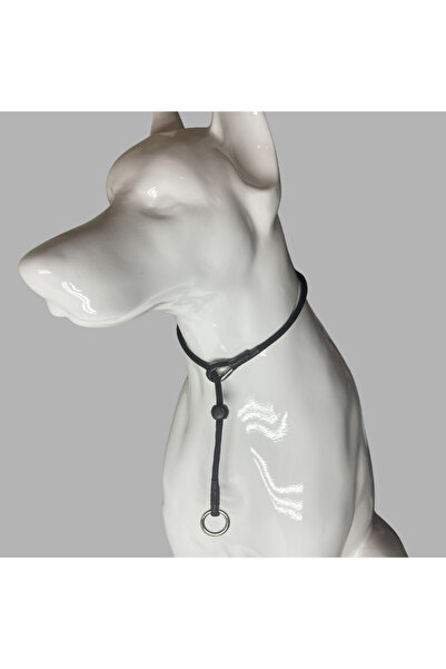 Rebel Dog Köpek Eğitim Tasması, Ayarlanabilir Stoperli Boğma Tasma, Yürüyüş Tasması