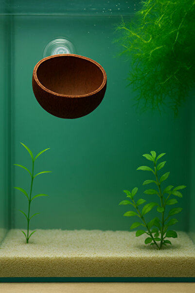 Akvaryum Beta Dinlenme Alanı Balık Yuvasu Fanus Teraryum Habitat Dekoru