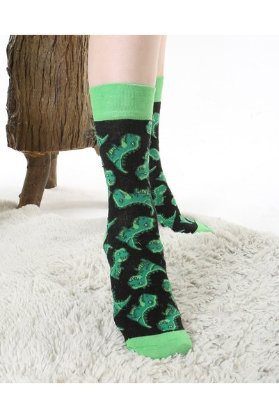 Socks Tunnel Dinosaur Patterned Colorful Green Socks