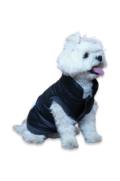 Oli and Lui Black Waterproof Quilted Dog Coat – with Walking Ring