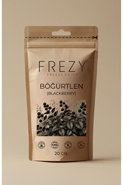 Frezy Freeze Dry BÖĞÜRTLEN Dondurularak Kurutulmuş Sağlıklı Atıştırmalık Kuru...