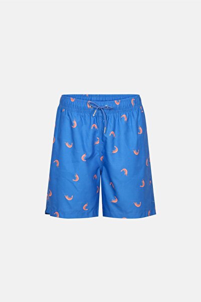 Dagi Multicolor Shrimp Des. Medium Shorts