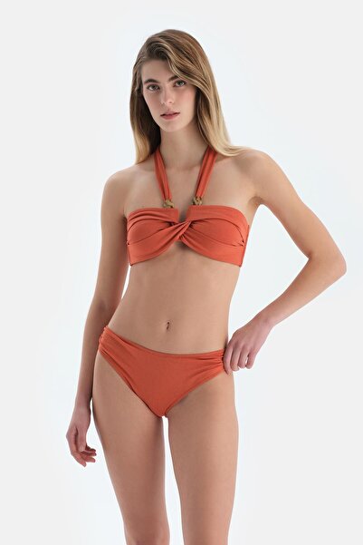 Dagi Brown Strapless Bikini Top