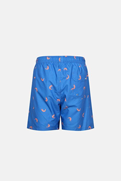Dagi Multicolor Shrimp Des. Medium Shorts