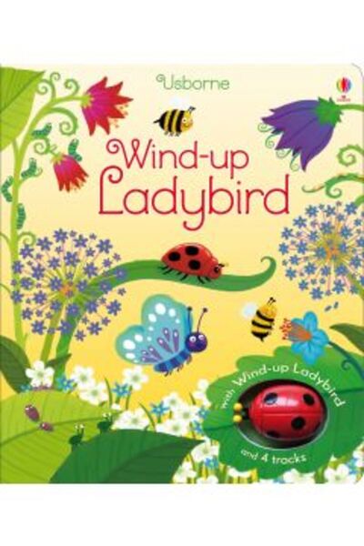 Usborne Publishing Wind-up Ladybird