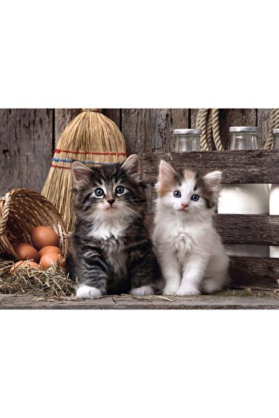 CLEMENTONI Puzzle - Kittens, 1000 piese