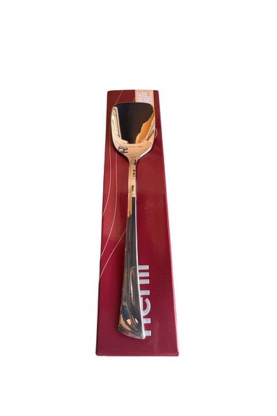 Nehir Maxi Ice Cream Spoon - 6 Ice Cream Spoons 18/10 Stainless Steel