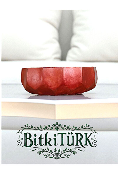 BitkiTÜRK -Beton Bonsai Saksı & şık dekor unsuru