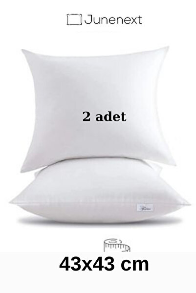 2 Pcs 43x43 cm Cushion Padded Cushion Cushion Pillow