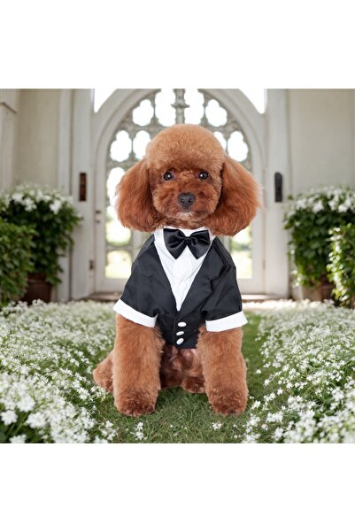 CAZEO Köpek Smokin Kıyafeti – Siyah - Özel Gün, Parti ve Düğün İçin Şık Elbise