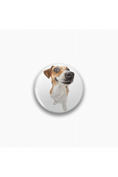 rebelberi Köpek Jack Russell Terrier Rozet