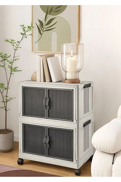 FORSACE 2 Tier Portable Multipurpose Organizer with Lid Stackable Kitchen and Pantry Cabinet with Magnet Lid