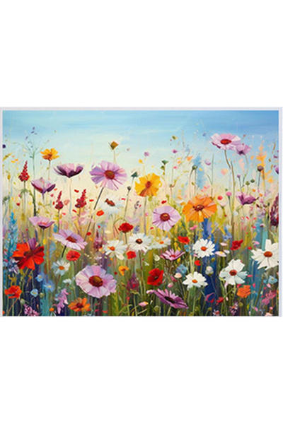 OEM Painting on numbered canvas 40x30 cm, acrylic paint, brushes, hanging supports, "Flowers"