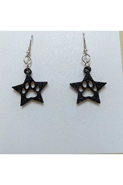 TERARYUM SEPETİM Patili Star Earrings