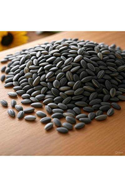 online kuruyemiş Online Kuruyemiş Dakota Sade Kavrulmuş Ay Çekirdeği 500 gram